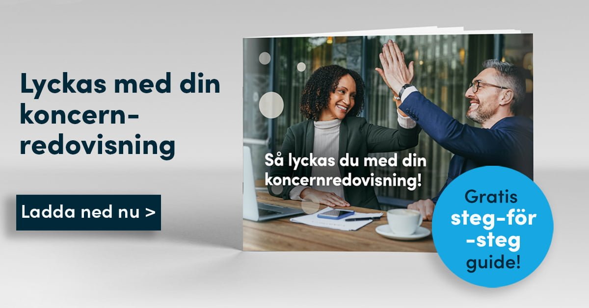 Guide - Så Lyckas Du Med Din Koncernredovisning | Boardeaser